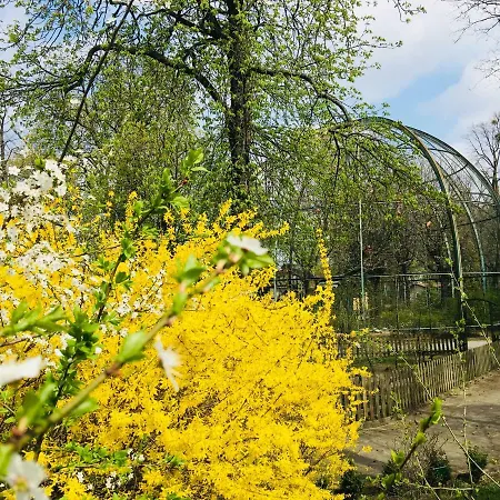 Lägenhet Piper Zajezdnia White *