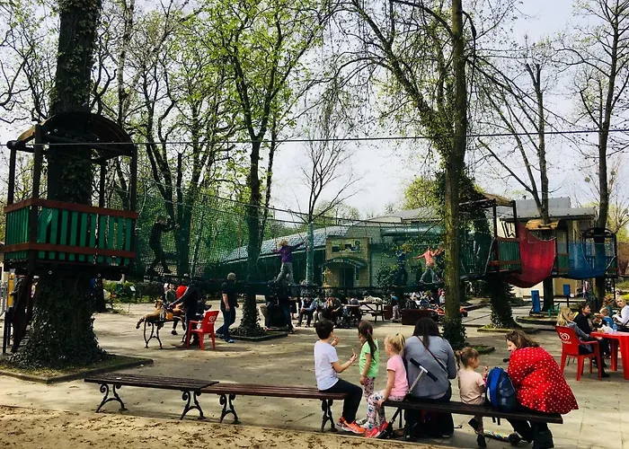 Piper Zajezdnia White *